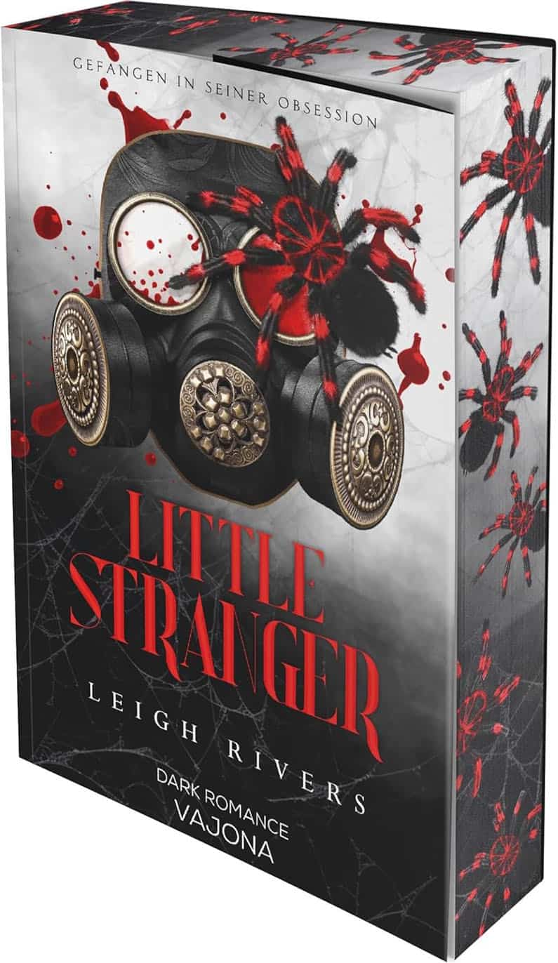 Little Stranger - Leigh Rivers