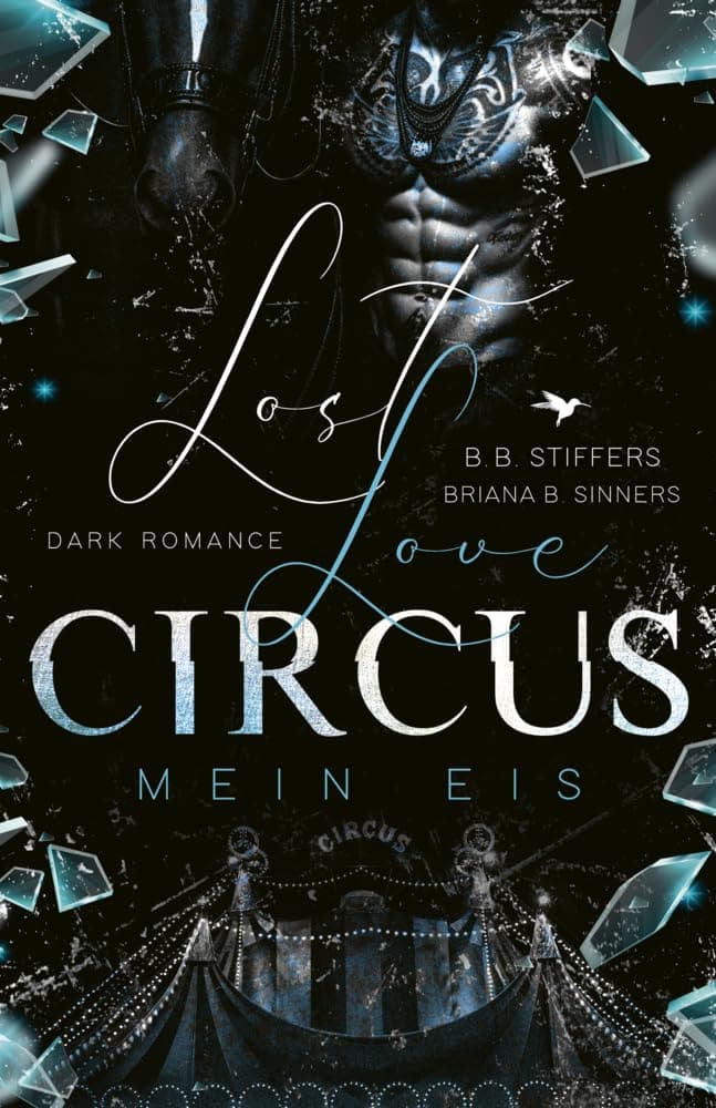 Lost Love Circus - B.B. Stiffers