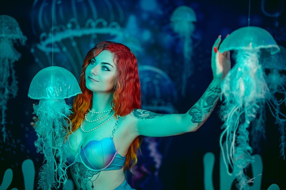 Lin die_mit_den_hunden