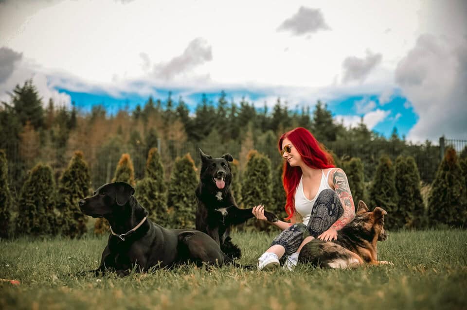 Lin die_mit_den_hunden