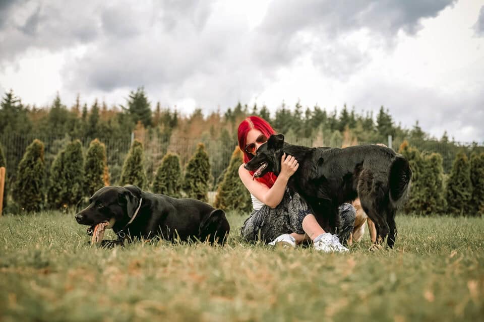 Lin die_mit_den_hunden