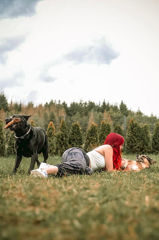 Lin die_mit_den_hunden