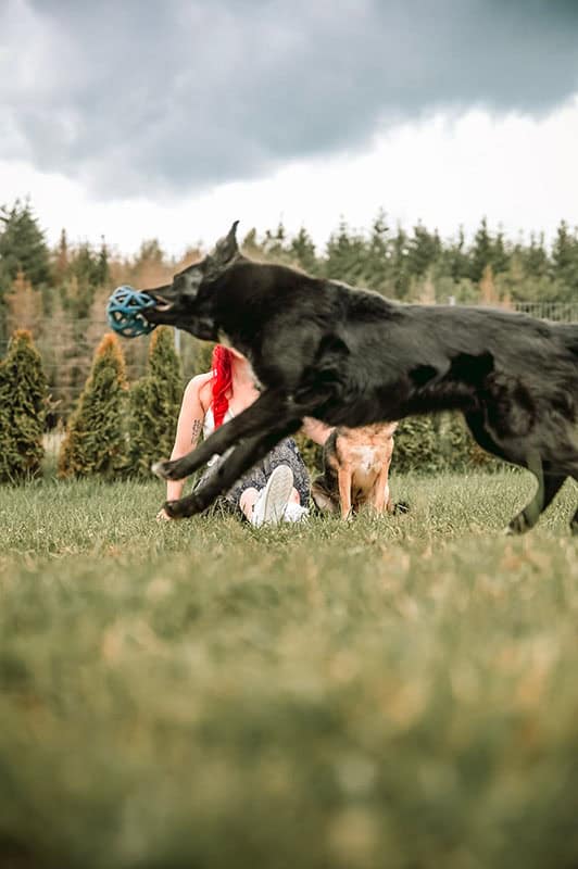 Lin die_mit_den_hunden