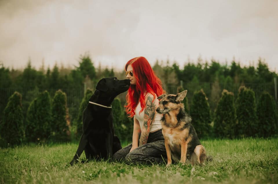 Lin die_mit_den_hunden