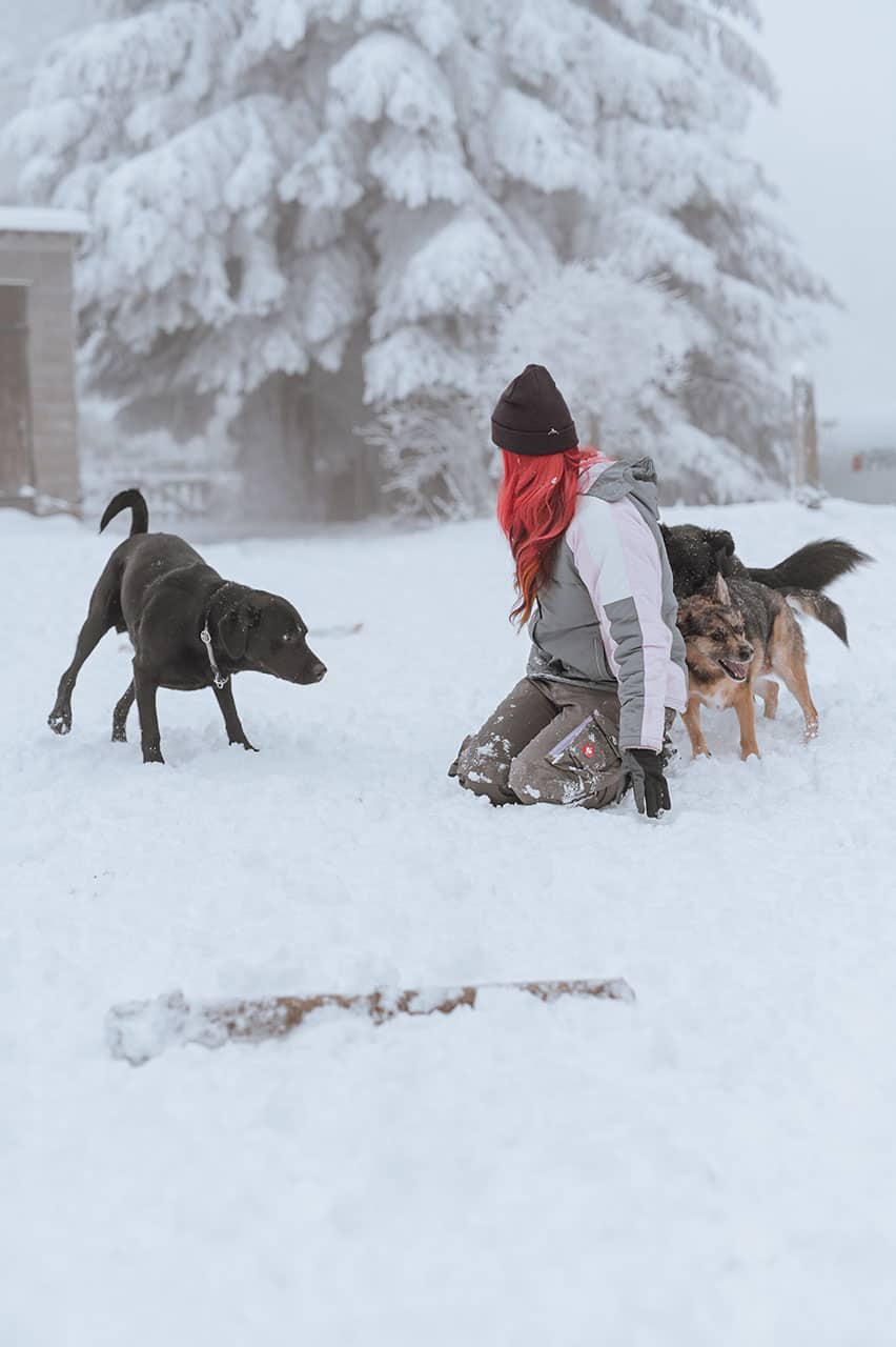 Galerie - Lin - die_mit_den_Hunden