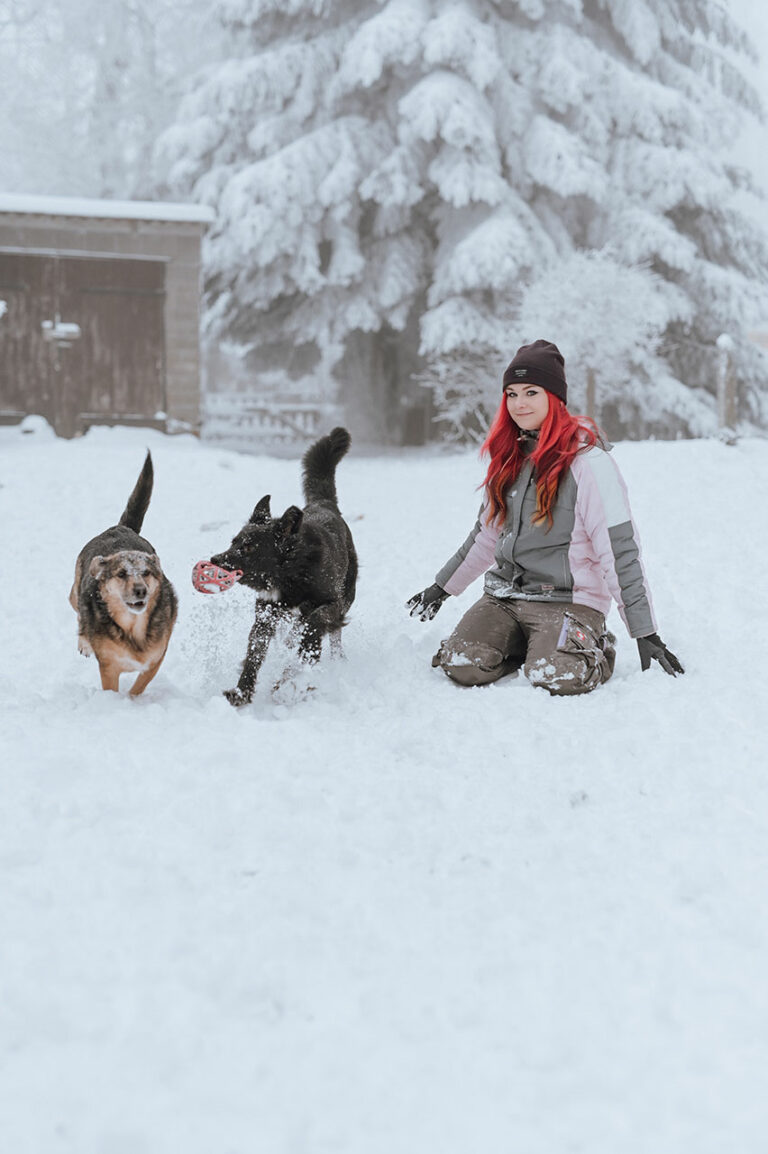 Galerie Lin die_mit_den_Hunden