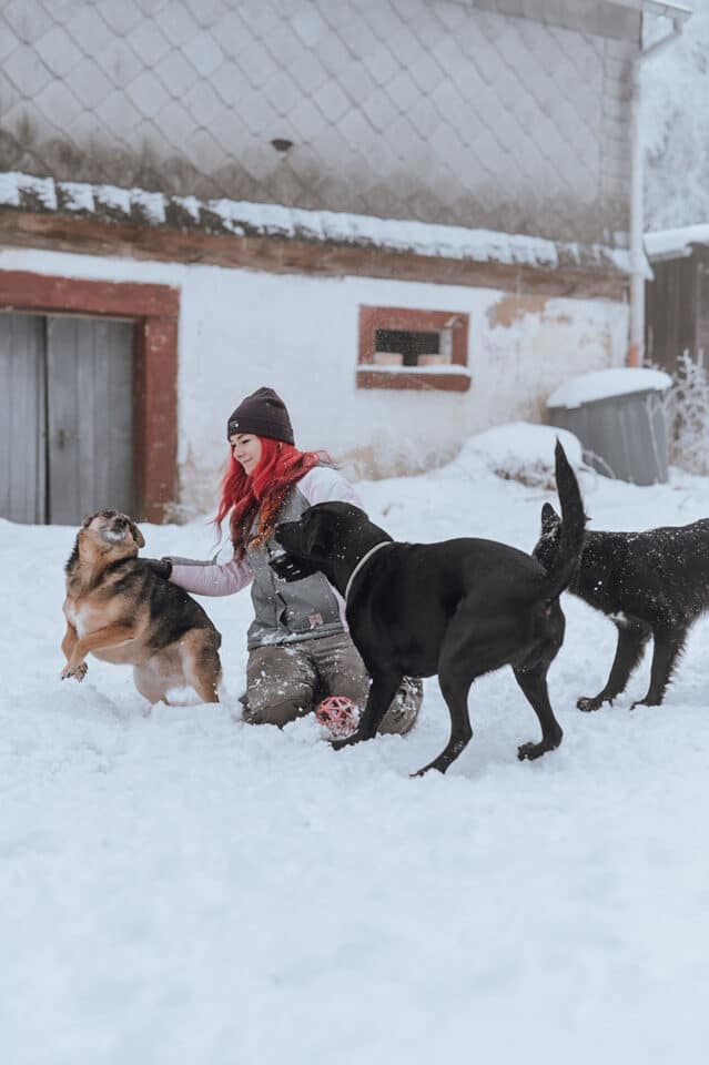 Lin die_mit_den_hunden