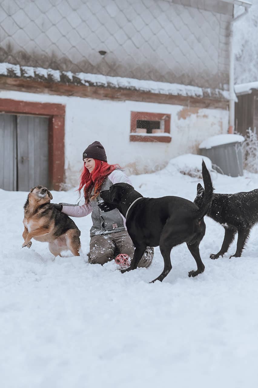Galerie Lin die_mit_den_Hunden