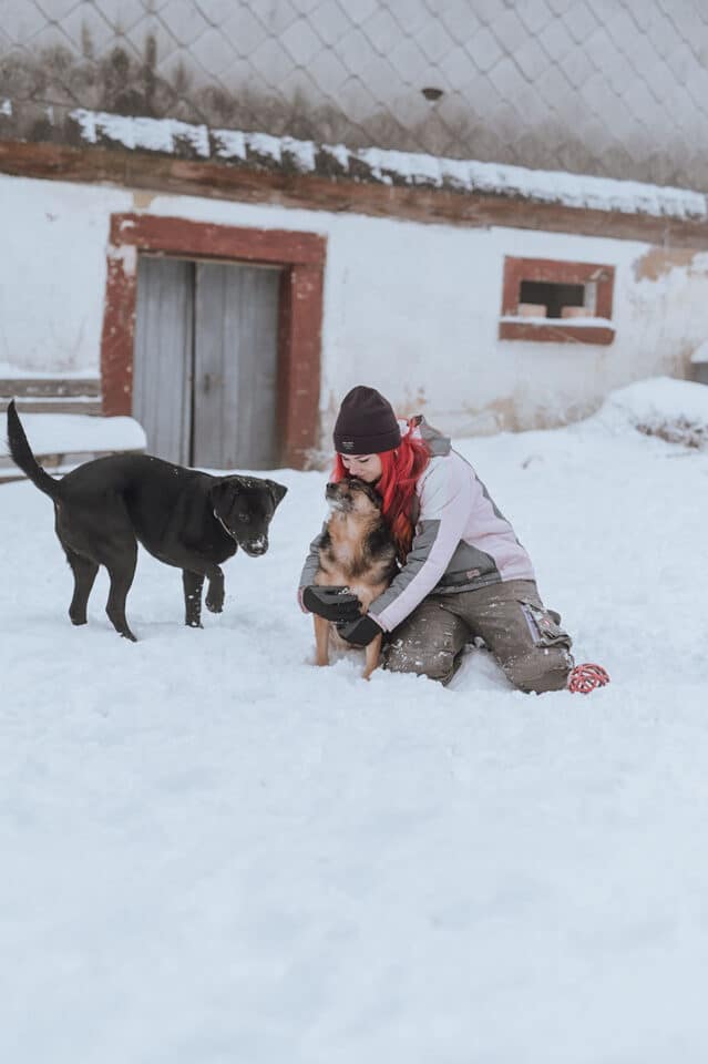 Lin die_mit_den_hunden