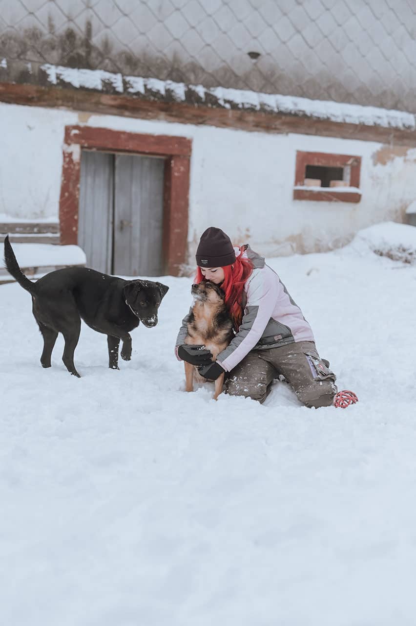 Galerie - Lin - die_mit_den_Hunden