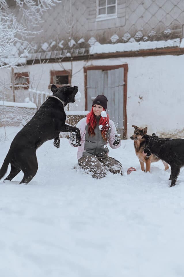 Galerie Lin die_mit_den_Hunden