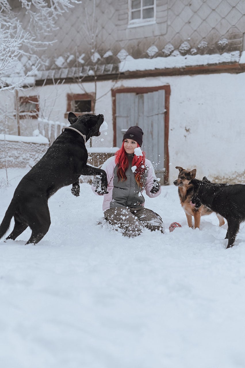 Galerie Lin die_mit_den_Hunden
