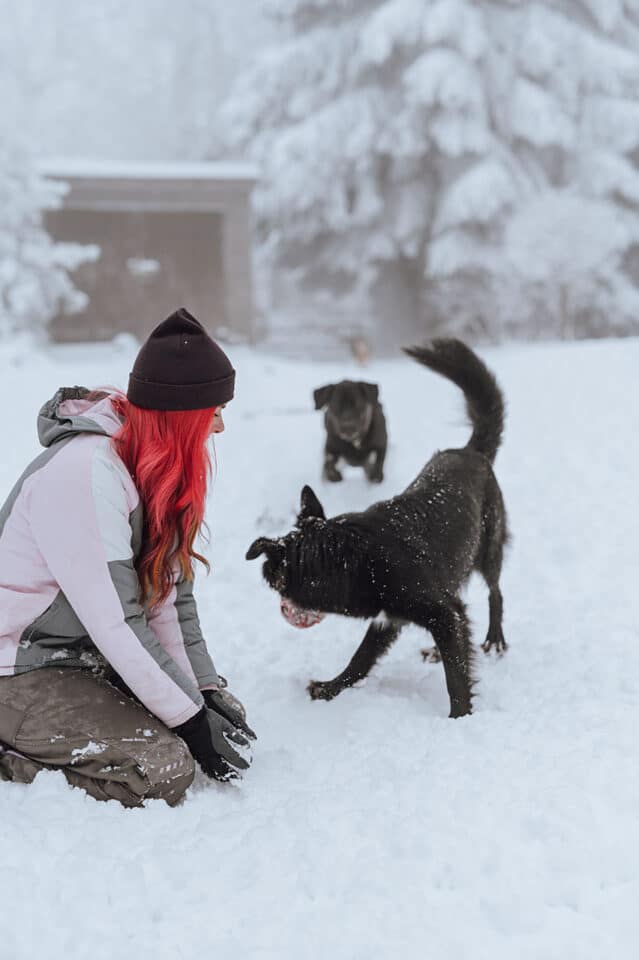 Lin die_mit_den_hunden